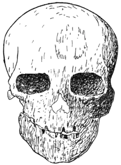 Palæolithic Man and Terramara Settlements in Europe, 0187b.png