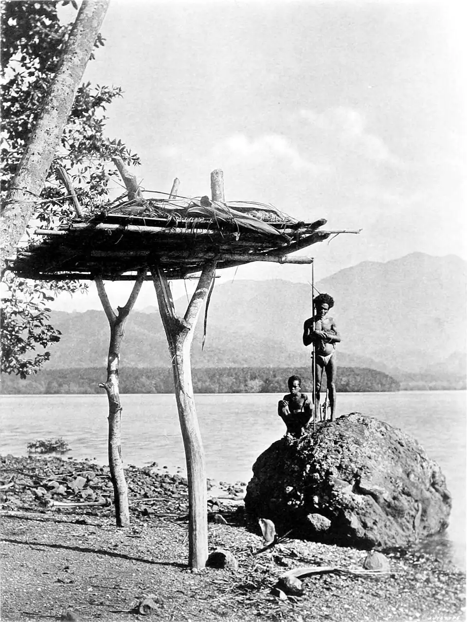 Black and white photograph of a log platform held up by two Y-shaped branches planted into the ground on a beach. To one side, a man and a boy stand on a rock.