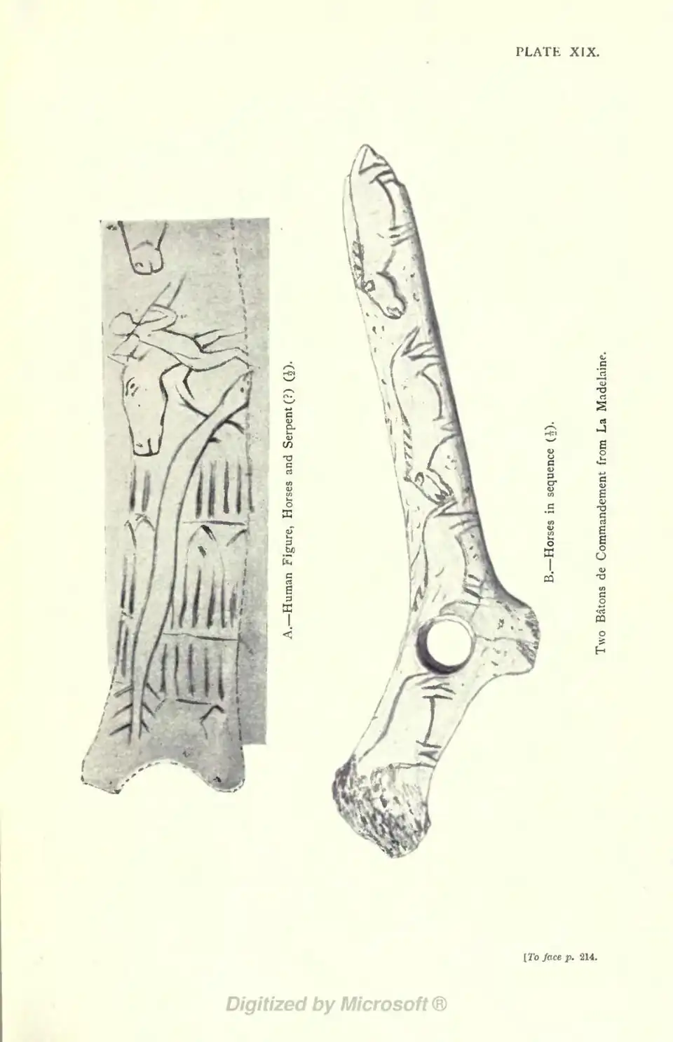 A.—Human Figure, Horses and Serpent (?) (½) B.—Horses in sequence (½) Two Bâtons de Commandement from La Madeleine. [To face p. 214.