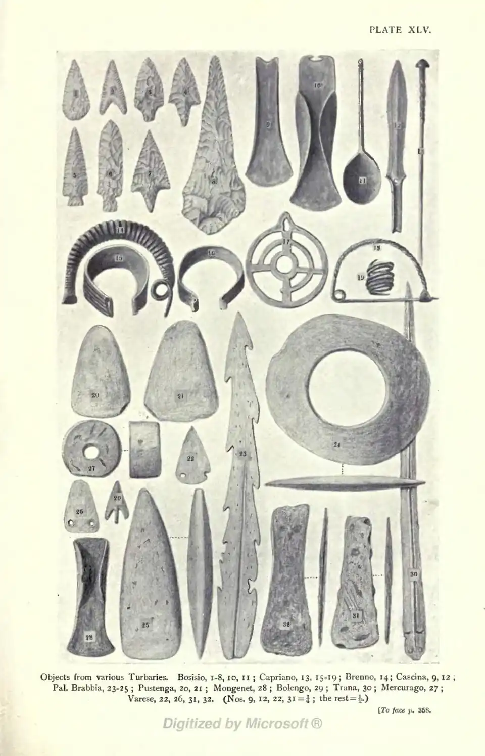 Objects from various Turbaries. Bosisio, 1-8, 10, 11 ; Capriano, 13, 15-19 ; Brenno, 14; Cascina, 9, 12 ; Pal. Brabbia, 23-25 ; Pustenga, 20, 21 ; Mongenet, 28 ; Bolengo, 29 ; Trana, 30 ; Mercurago, 27 ; Varese, 22, 26, 31, 32. (Nos. 9, 12, 22, 31 ¼ ; the rest = ½.) [To face p. 358.