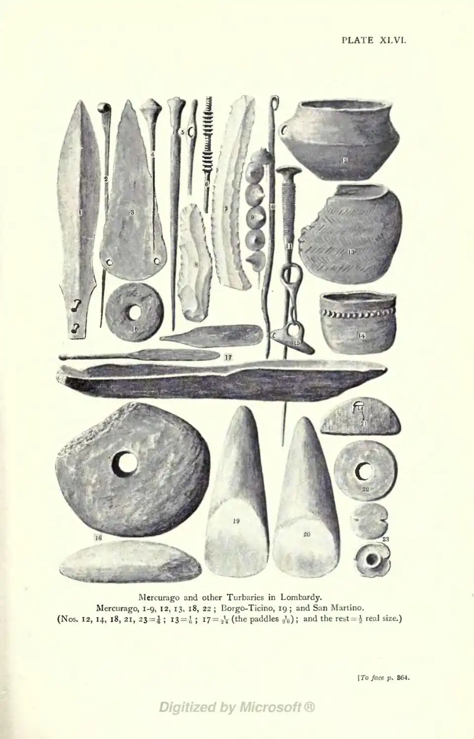 Mercurago and other Turbaries in Lombardy. Mercurago, 1-9, 12, 13, 18, 22 ; Borgo-Ticino, 19 ; and San Martino. (Nos. 12, 14, 18, 21, 23 = ¼ ; 13 = 1/6 ; 17 = 1/24 (the paddles 1/26) ; and the rest = ½ real size.) [To face p. 364.