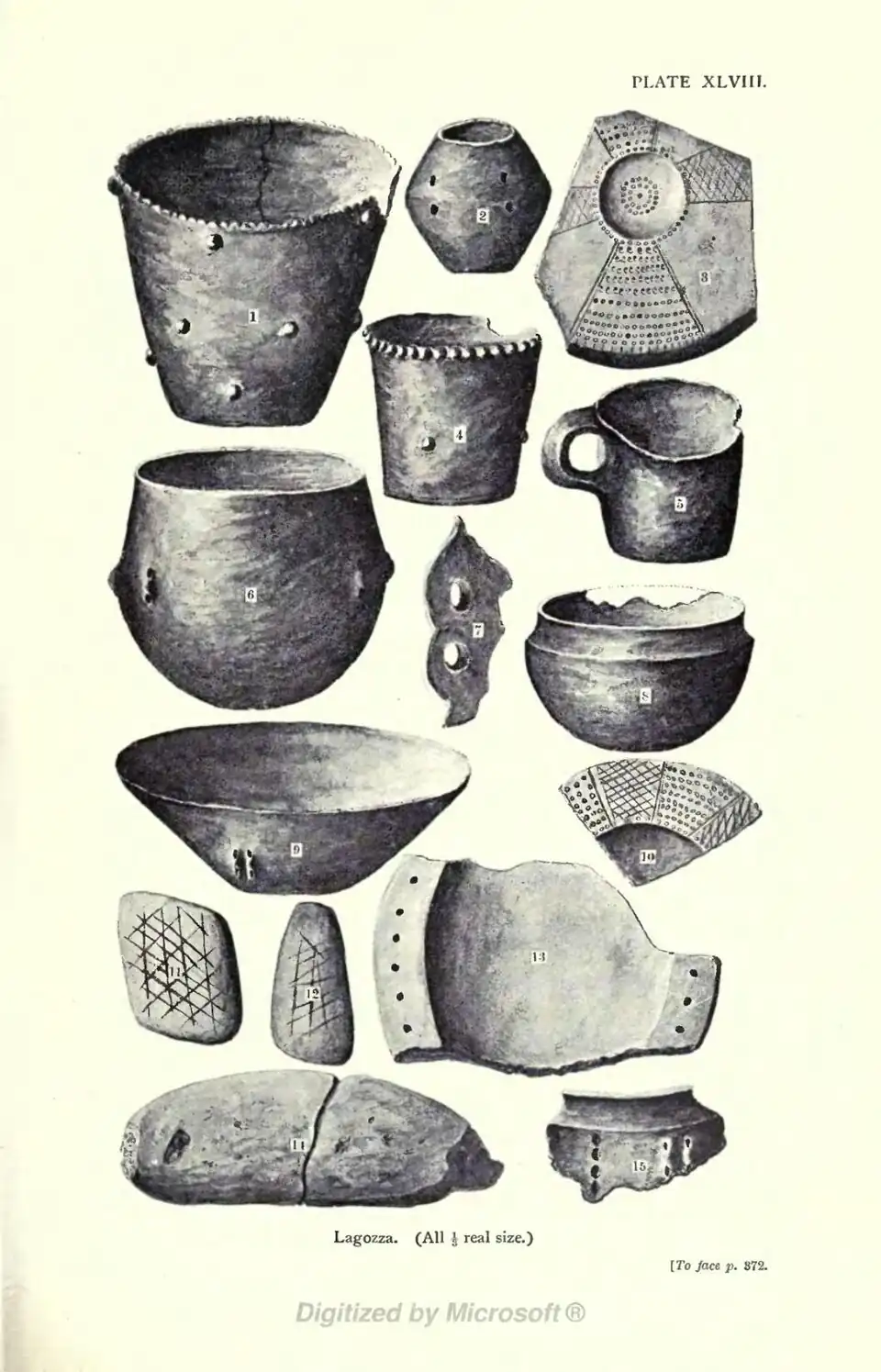 Lagozza. (All ⅓ real size.) [To face p. 872.