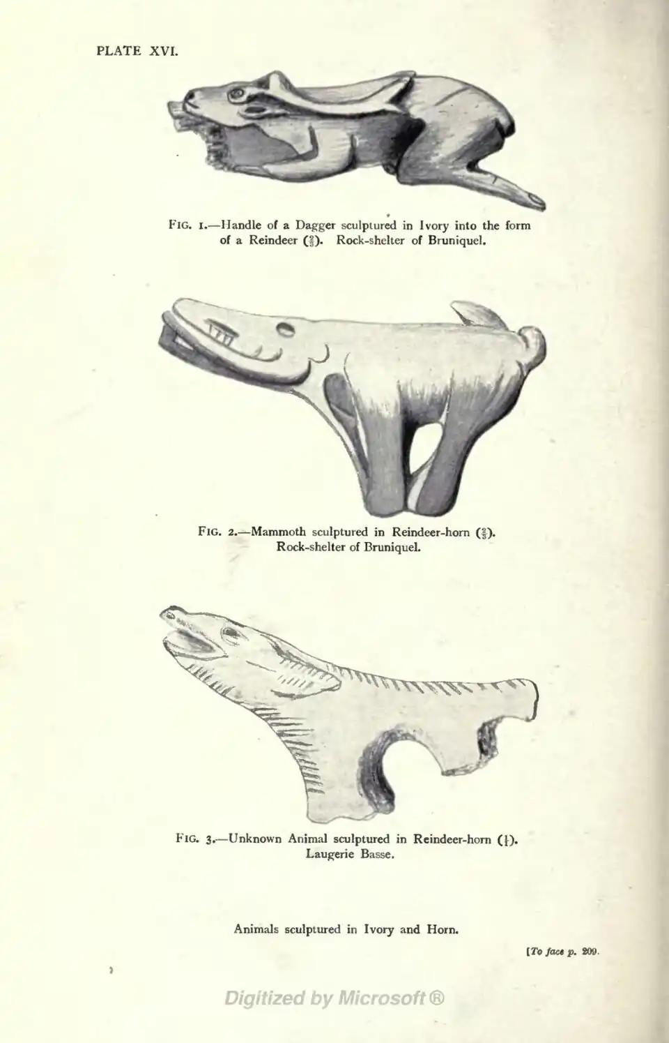 FIG. l. Handle of a Dagger sculptured in Ivory into the form of a Reindeer (⅔). Rock-shelter of Bruniquel. FIG. 2. Mammoth sculptured in Reindeer-horn (⅔). Rock-shelter of Bruniquel. FIG. 3. Unknown Animal sculptured in Reindeer-horn (1/1). Laugerie Basse. Animals sculptured in Ivory and Horn. [To face p. 209.