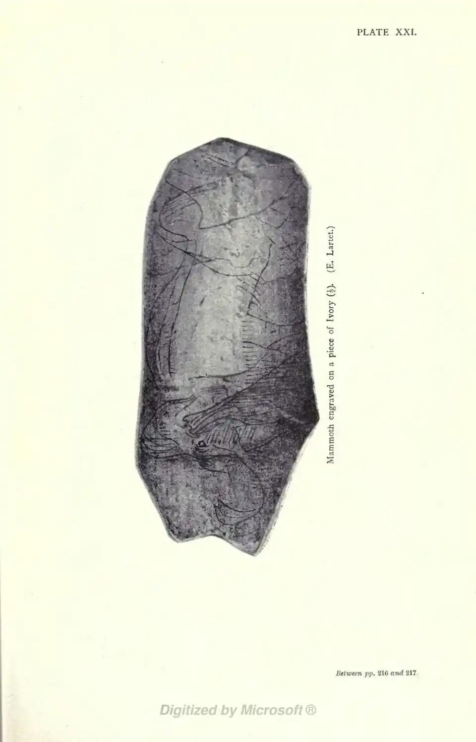 Mammoth engraved on a piece of Ivory (½). (E. Lartet.) Between pp. 216 and 217.