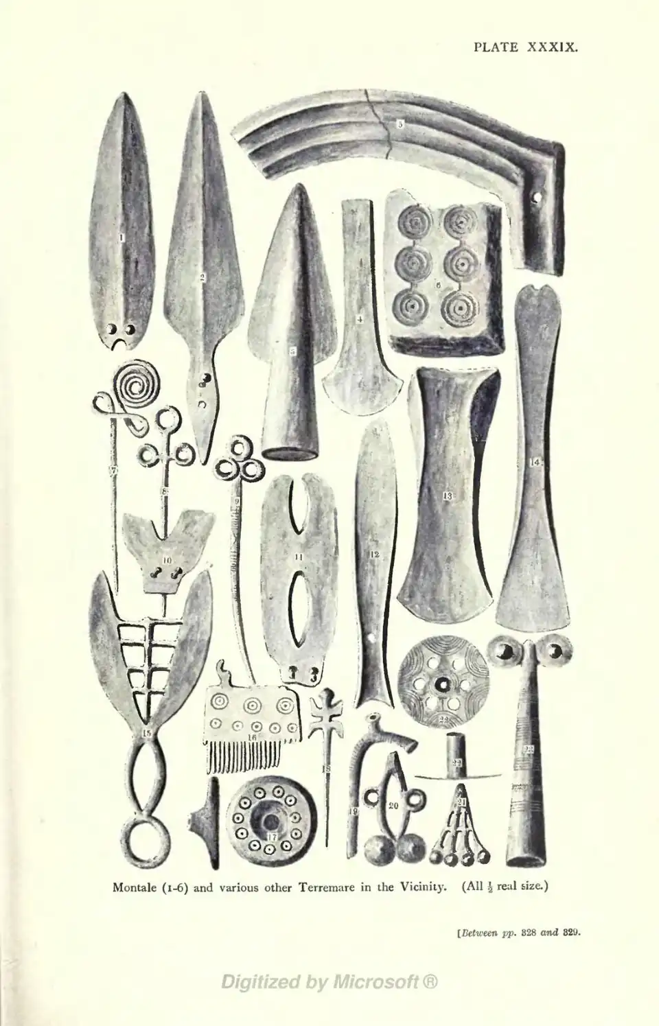 Montale (1-6) and various other Terremare in the Vicinity. (All ½ real size.) [Between pp. 328 and 329.