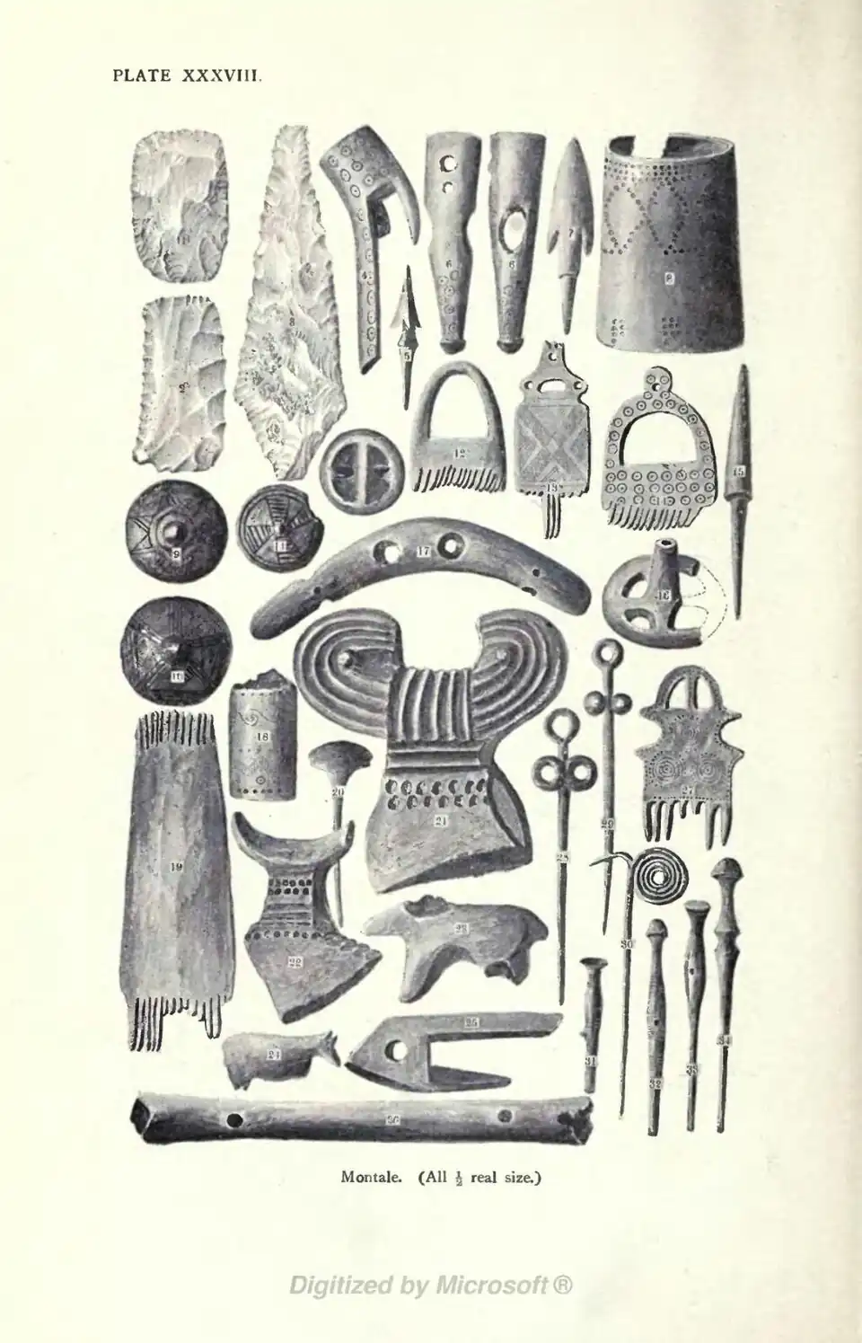 Montale. (All ½ real size.)