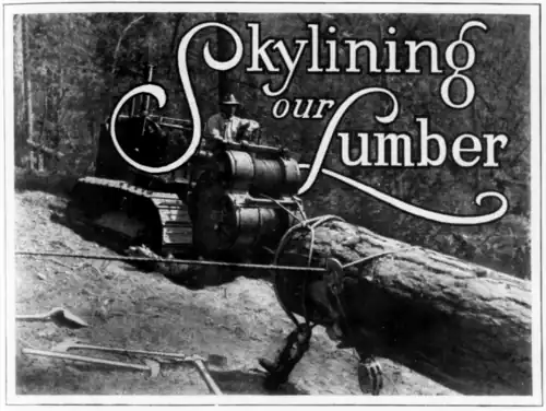 Skylining our Lumber