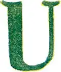 U