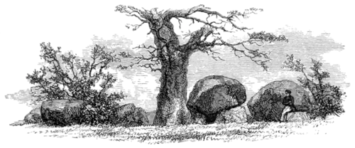 Rude Stone Monuments 0347.png