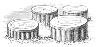 Rude Stone Monuments 0489.png