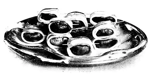 Mushroom Cromeskies. (Ready for cooking.)