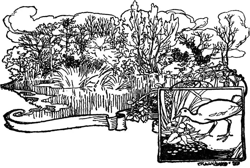 image header chapter V by Arthur Rackham