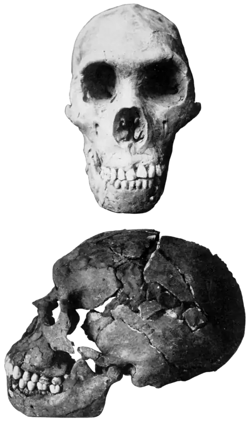 Smithsonian Report (1909), 0708.png