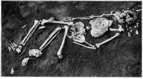 Smithsonian Report (1909), 0715.png