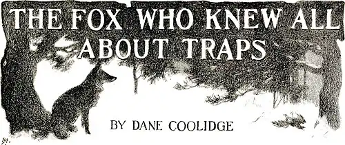 The Fox who Knew all about Traps. by Dane Coolidge