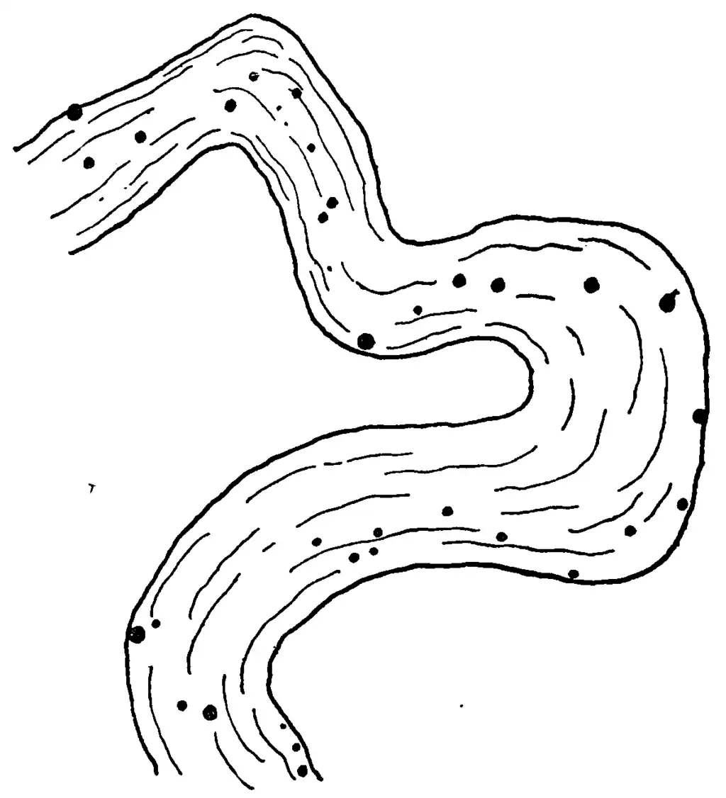 The constellation Eridanus pictured as a river with the major stars denoted