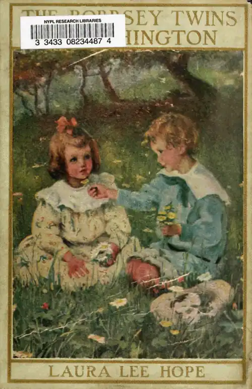 The Bobbsey twins in Washington