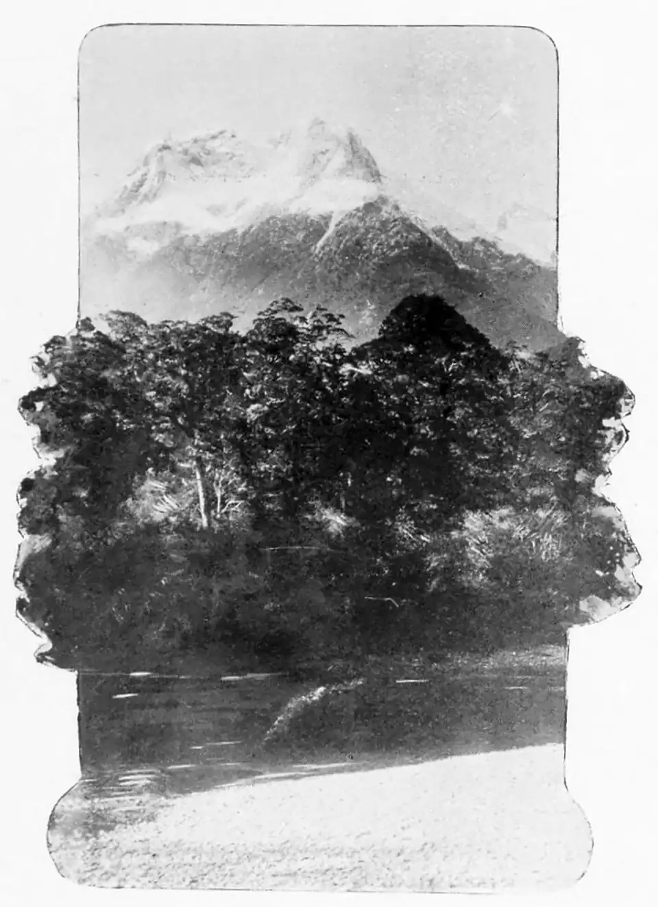 Snow covered mountains in the background with tall trees in the foreground.