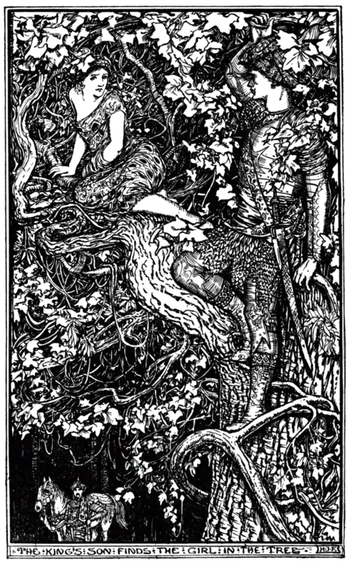 The King’s son finds the girl in the tree
