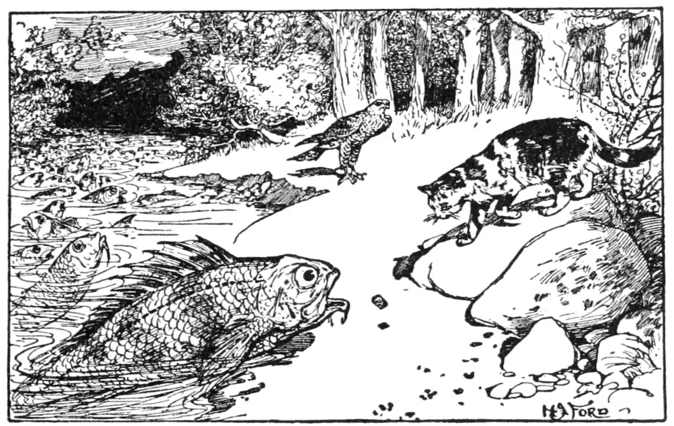 The Cat Lets Fall the Stone