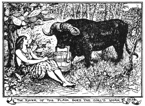 THE ROVER OF THE PLAIN DOES THE GIRL’S WORK