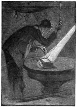 "THE PICTURE PASSED TO AND FRO LIKE AND AGITATED PANORAMA."