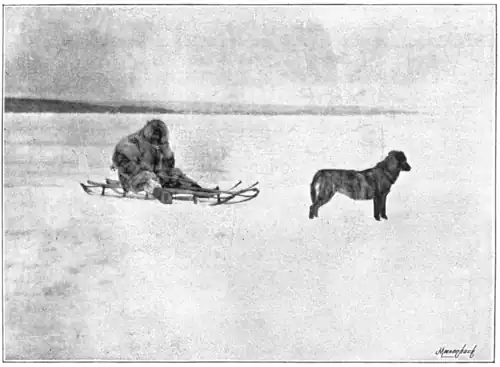 The Strand Magazine vol. 6, no. 36, pg. 623 - Dr. Nansen Preparing for Drive in Dog Sledge