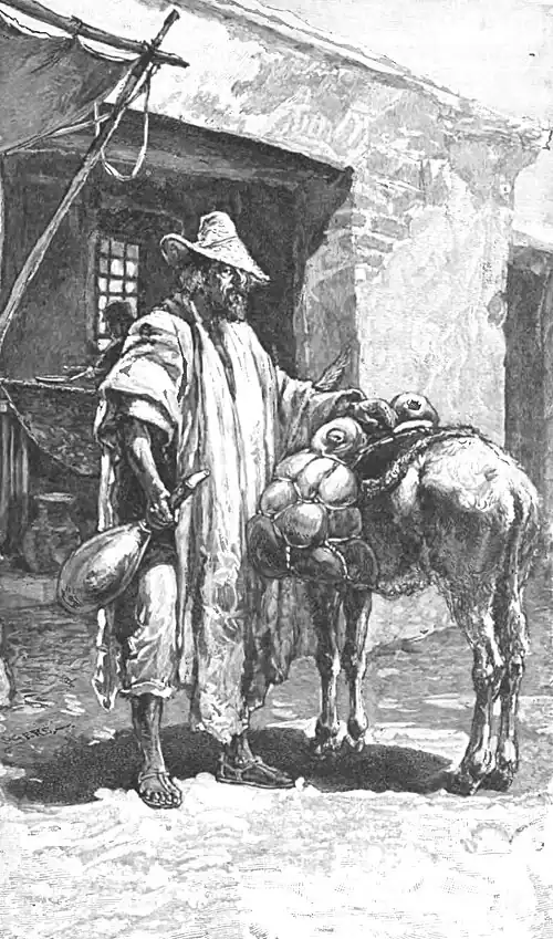 Click on image to enlarge.