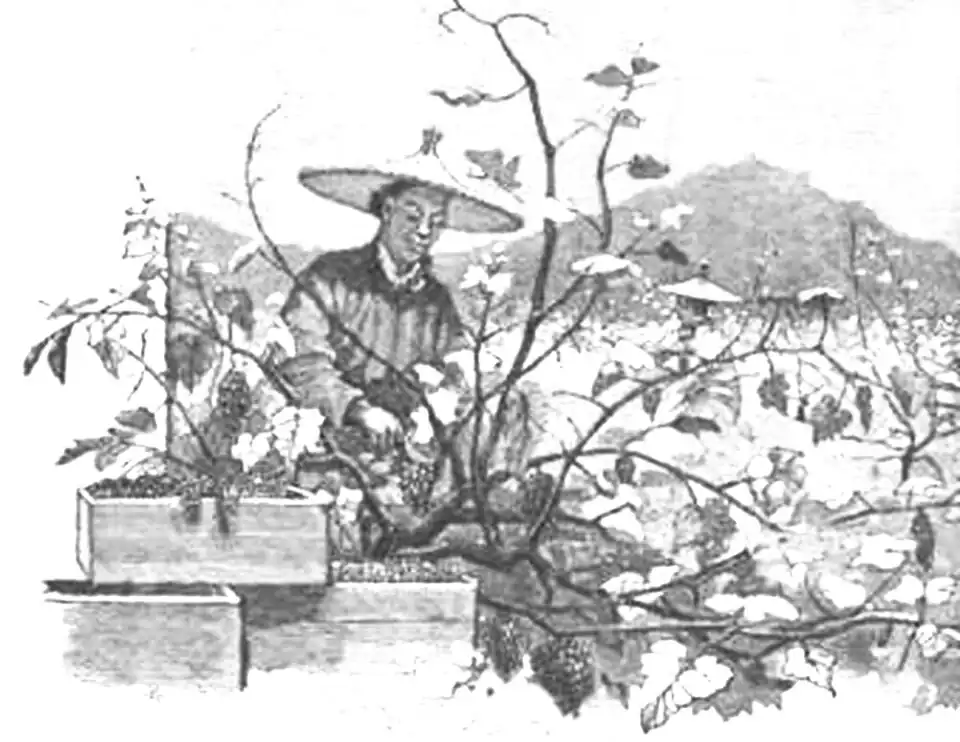 Click on image to enlarge.