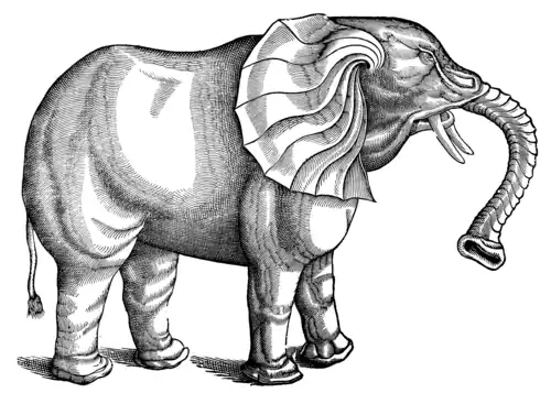 The figure of an Elephant.