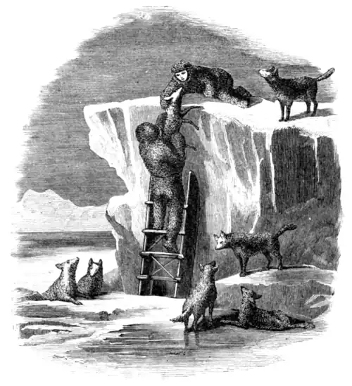 MORTON CLIMBING ON TO THE LAND-ICE.