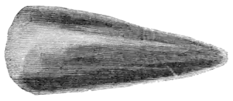 The primeval antiquities of Denmark 019a.png