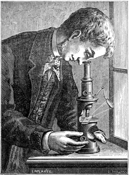 The Compound Microscope.