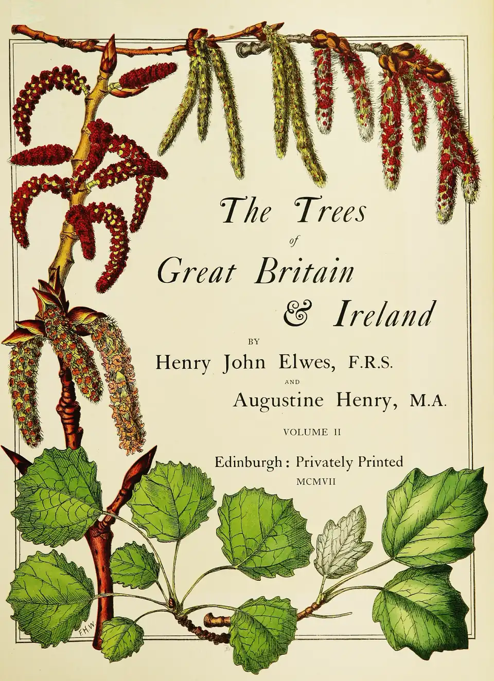 The Trees / of / Great Britain / & Ireland / BY / Henry John Elwes, F.R.S. / AND / Augustine Henry, M.A. / VOLUME II / Edinburgh: Privately Printed / MCMVII