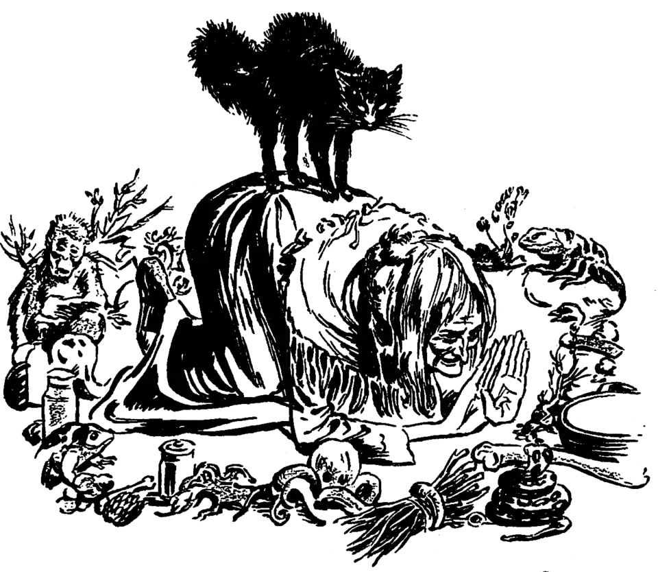 A witch crouching in a circle of objects (bones, twigs, bottles, a moneky etc). A black cat with its back arched standing on her back.