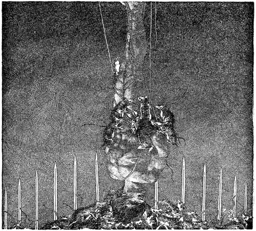 Weird Tales, Jul 1937 p 71