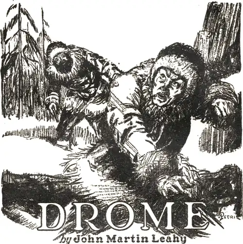Drome by John Martin Leahy