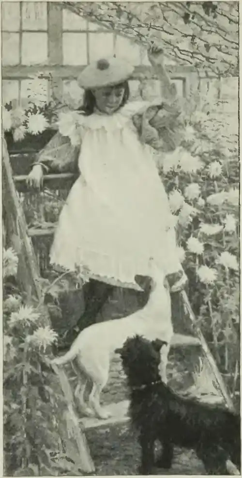 'A Portrait' by Norman Garstin