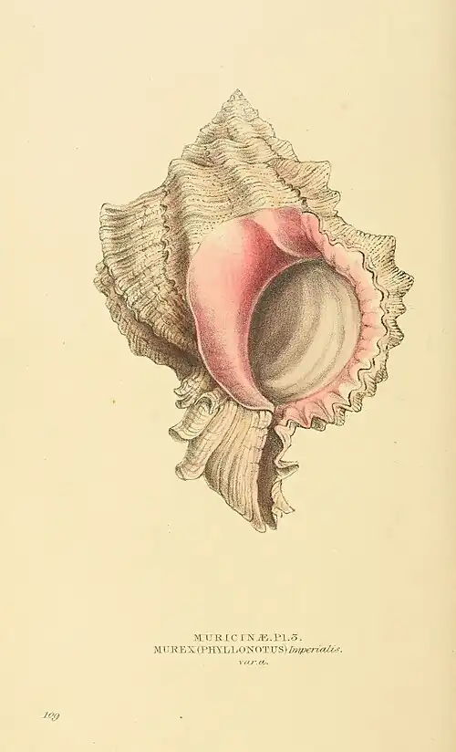 Plate 109.