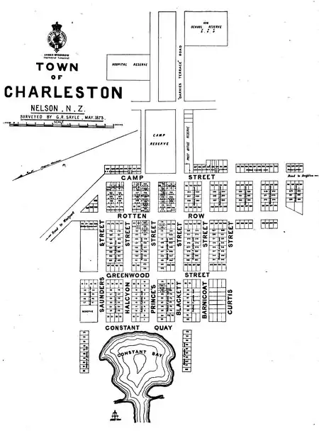 Map of the town of Charleston, Nelson, New Zealand. Surveyed by G.R. Sayle, May 1873.