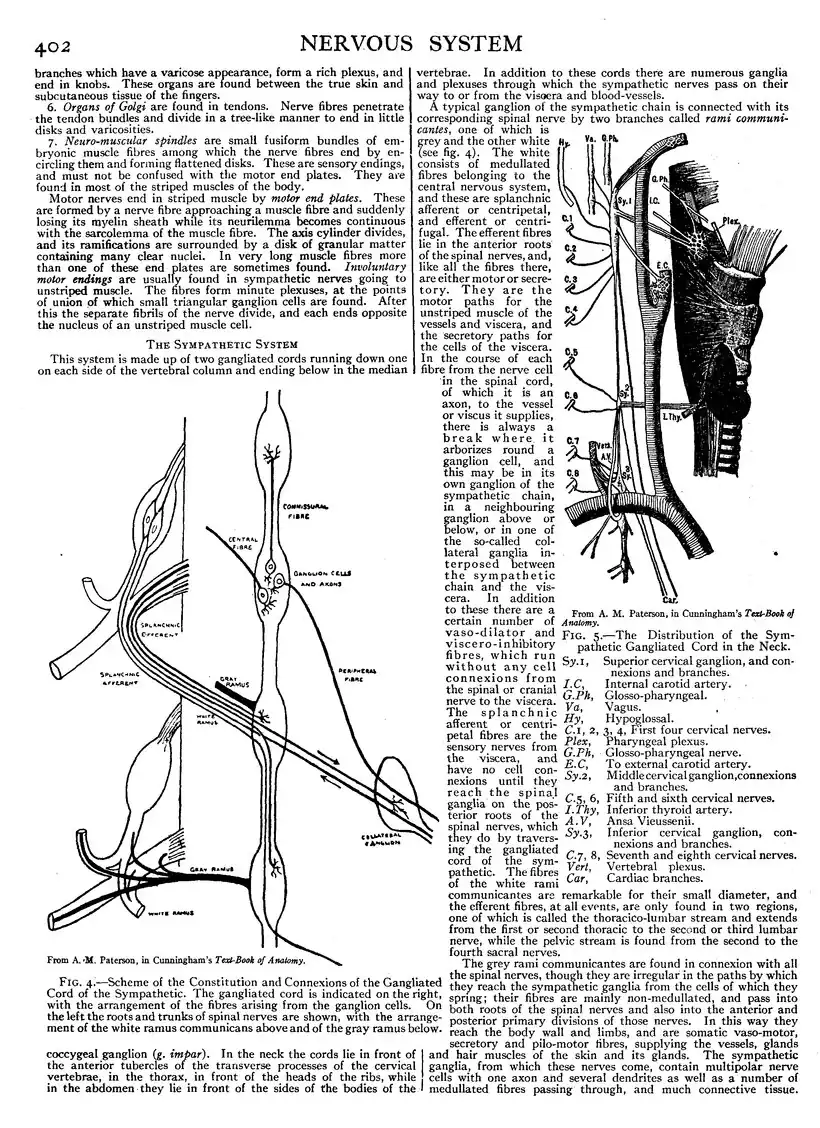EB1911 - Volume 19.djvu