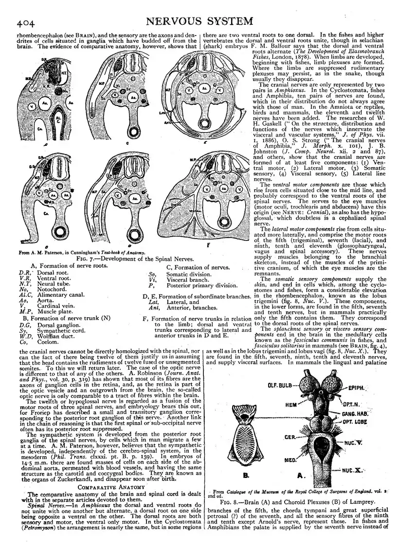 EB1911 - Volume 19.djvu