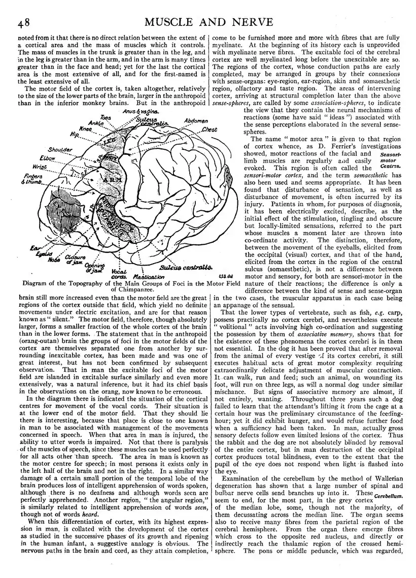 EB1911 - Volume 19.djvu