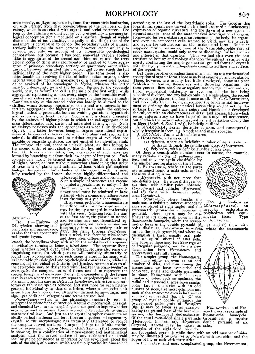 EB1911 - Volume 18.djvu