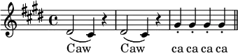 { \key e \major
 \relative d' { dis2( cis4) r dis2( cis4) r |
  gis'-. gis-. gis-. gis-. \bar "||" }
\addlyrics { Caw Caw ca ca ca ca } }